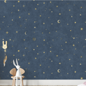 Giấy Dán Tường 2219